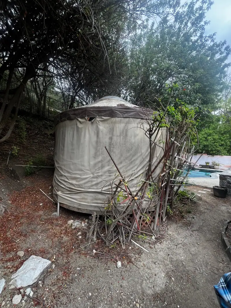 A canvas yurt gone gray in a back yard, dead branches stacked against the side of it