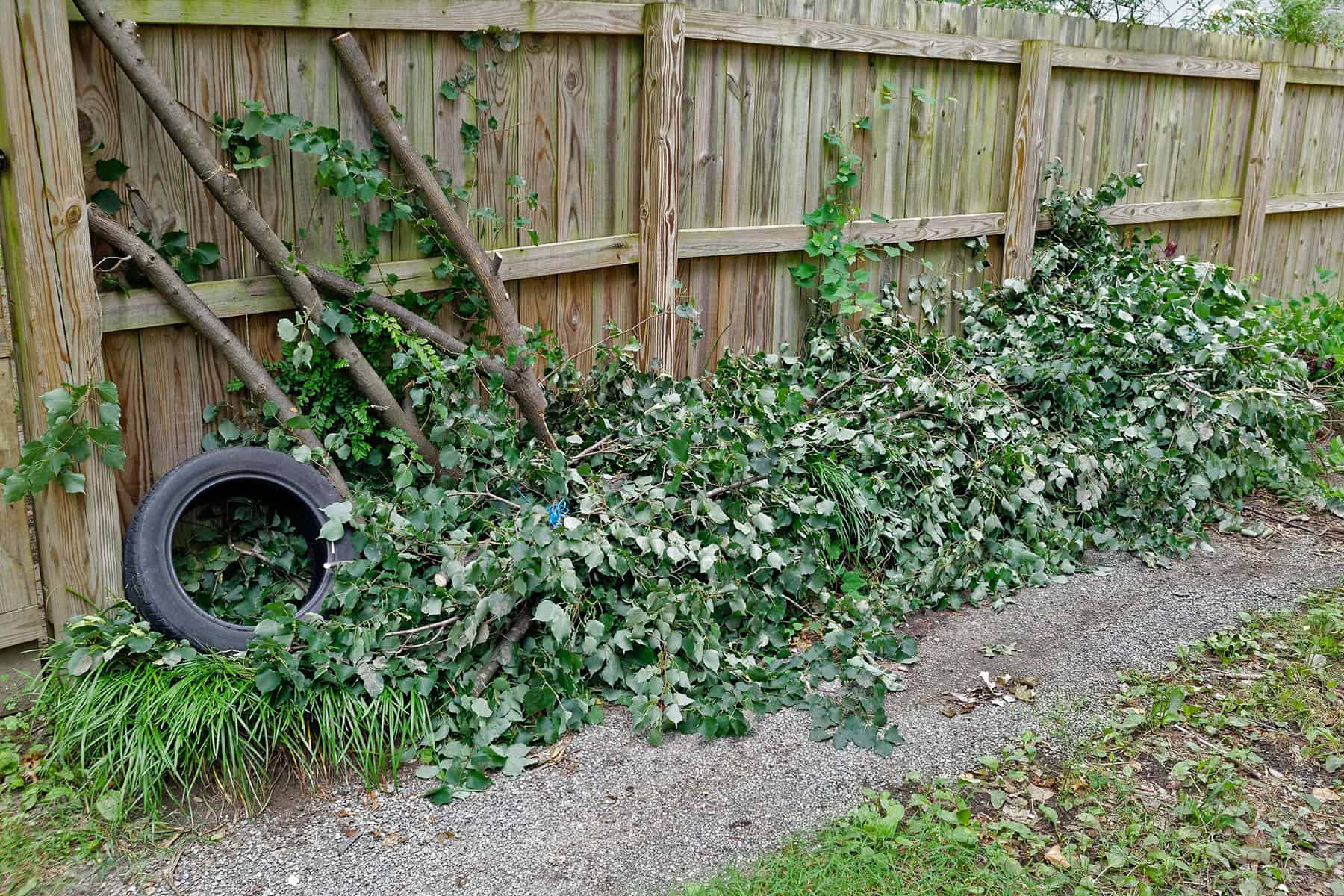 yard debris piled up on fence